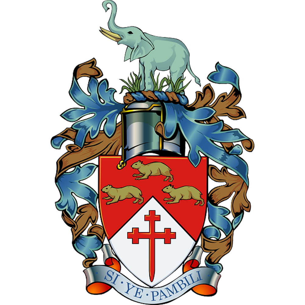 City of Bulawayo